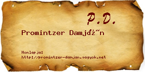 Promintzer Damján névjegykártya
